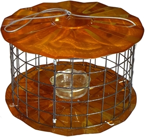 TMB Studios: Bluebird / Songbird Mealworm Feeder, The Bird House